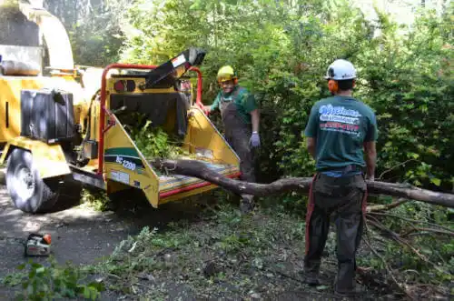 tree services St. Florian